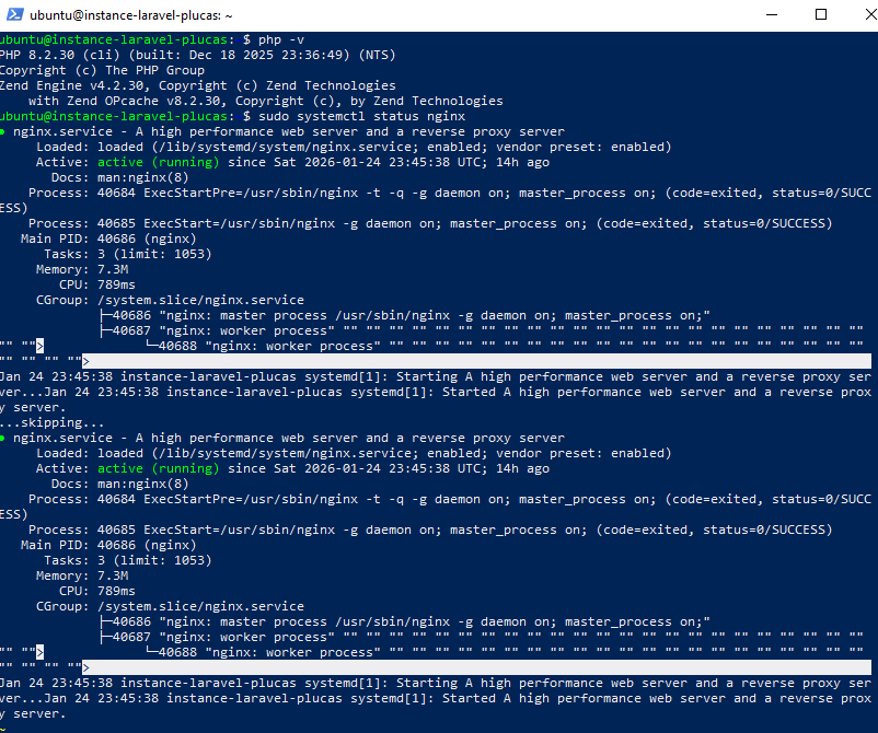 Portfolio Screenshot 1